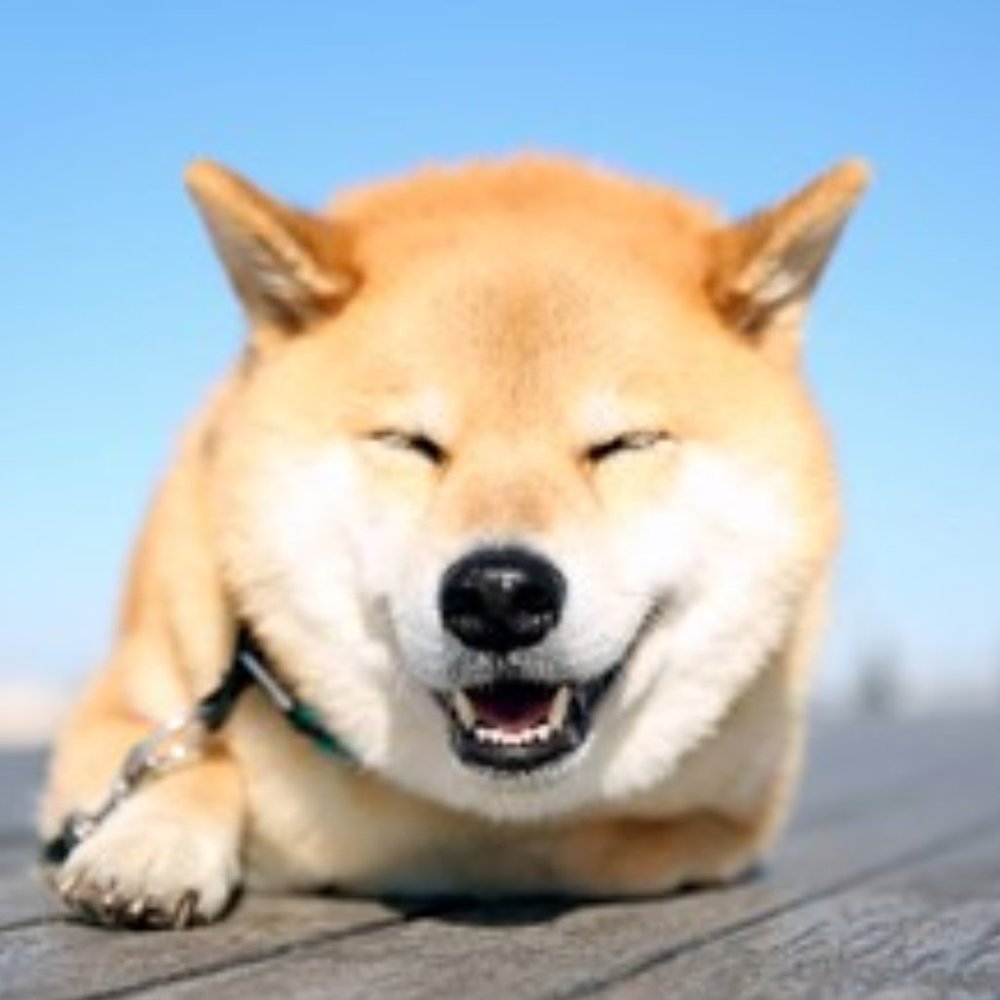 Meet your Posher, Jen